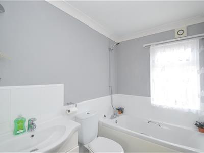 Picture 13